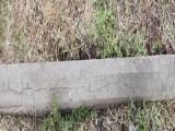 image of grave number 451920